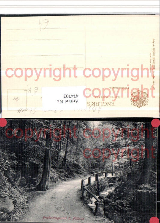 474702,Friedrichsgrund b. Pillnitz Dresden Wegpartie