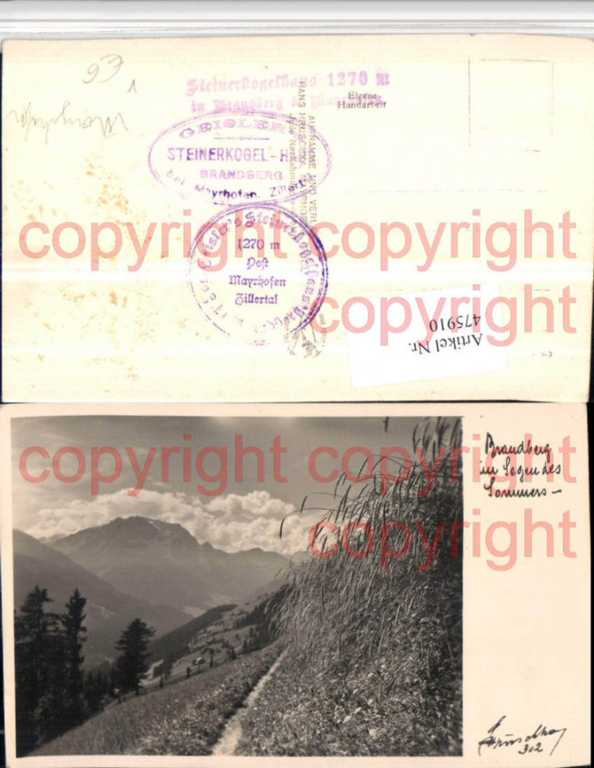 Alte Ansichtskarte – Old Postcard