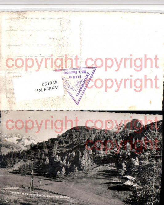 476150,Zwieselalpe Alm b. Gosau m. Dachstein Bergkulisse