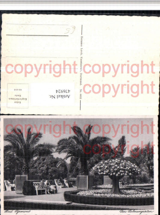 476924,Bad Pyrmont Palmengarten Palmen