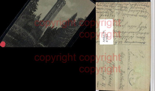 477063,Ludwigsturm Turm auf dem Donnersberg b. Dannenfels