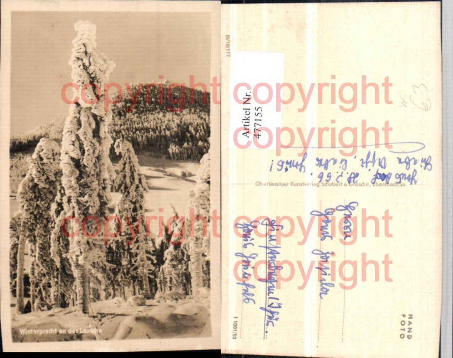 477155,Lausche b. Großschönau Winterlandschaft
