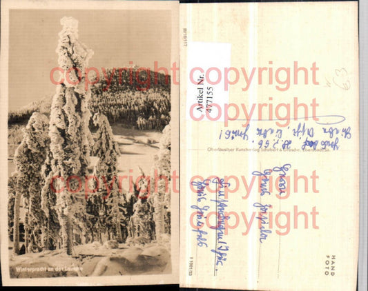 477155,Lausche b. Großschönau Winterlandschaft