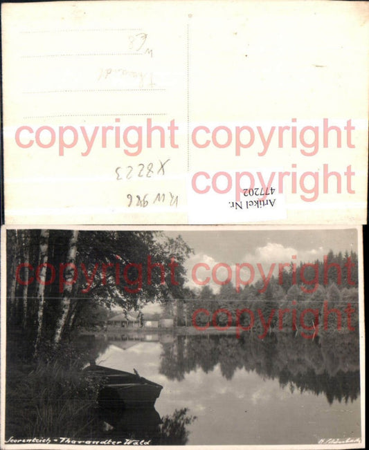 477202,Tharandter Wald b. Tharandt Seerenteich Partie