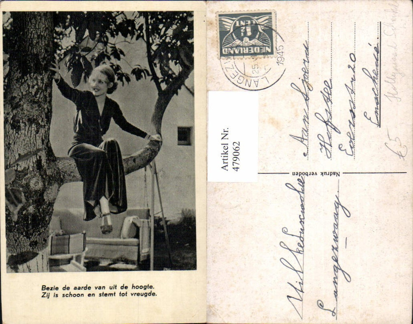 479062,Frau auf Ast Baum sitzend Hollywoodschaukel Spruch Text