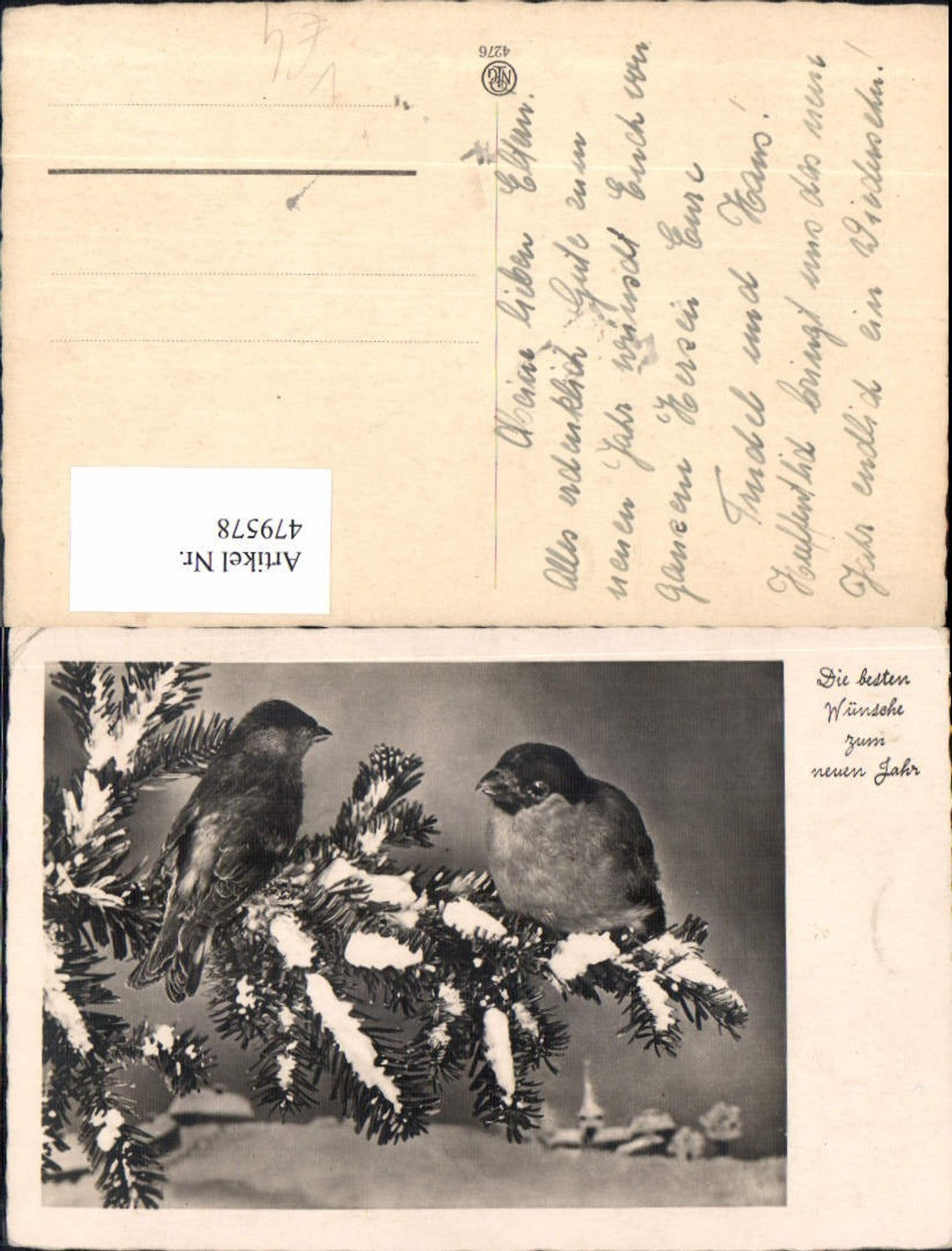 479578,Vogel Vögel Tannenzweig m. Schnee Neujahr pub NPG 4276