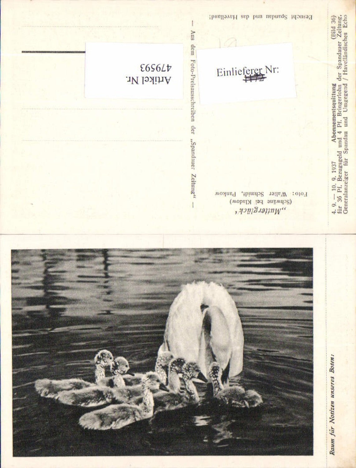 Alte Ansichtskarte – Old Postcard