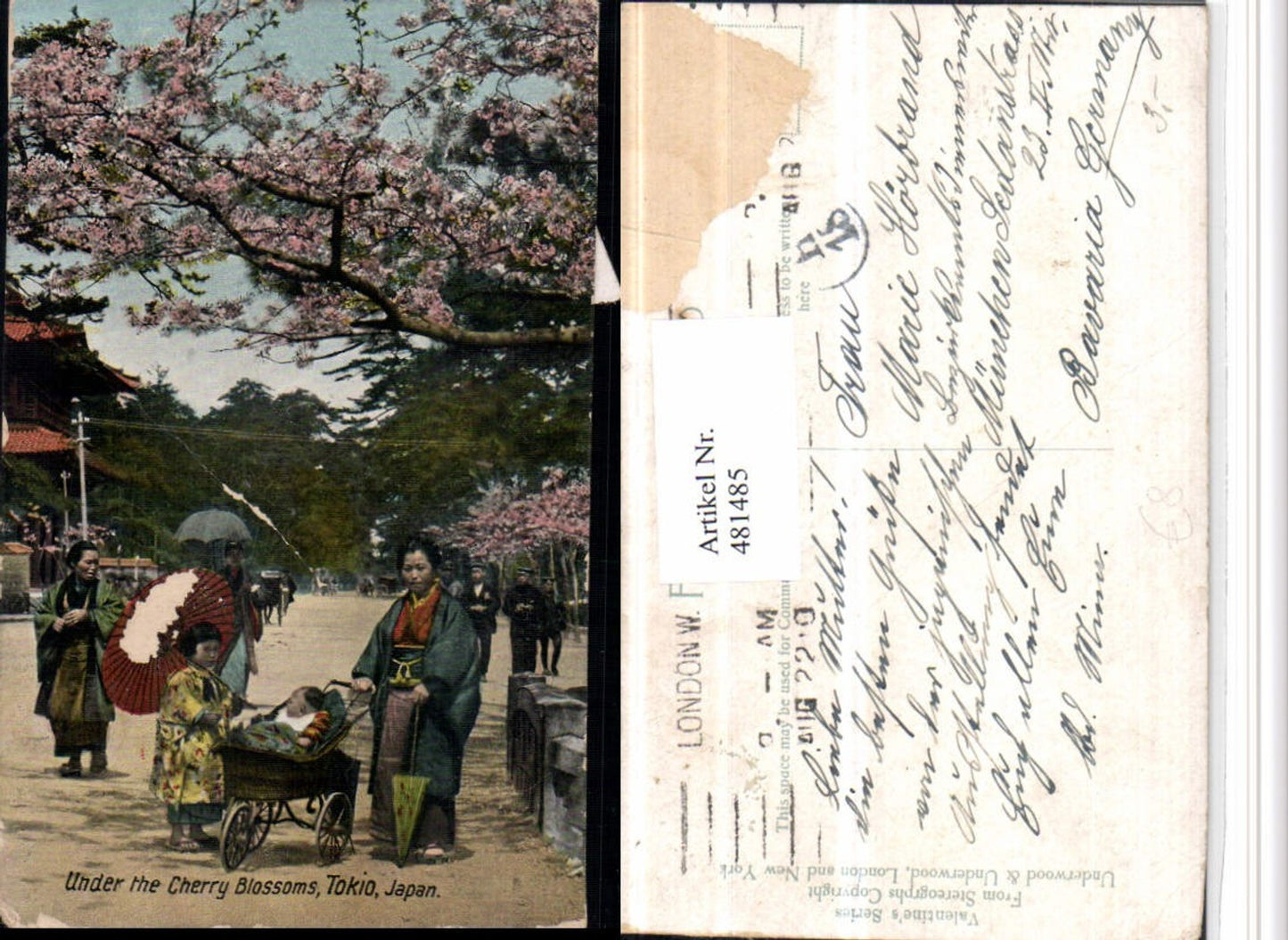 481485,Japan Tokio Under the Cherry Blossoms Kirschblüte Kinderwagen