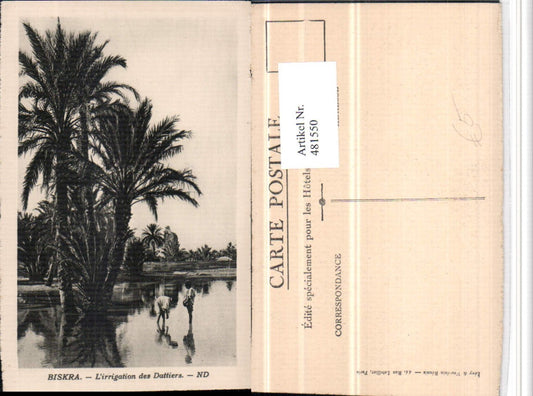 481550,Algeria Biskra L'irrigation des Dattiers Dattelpalme
