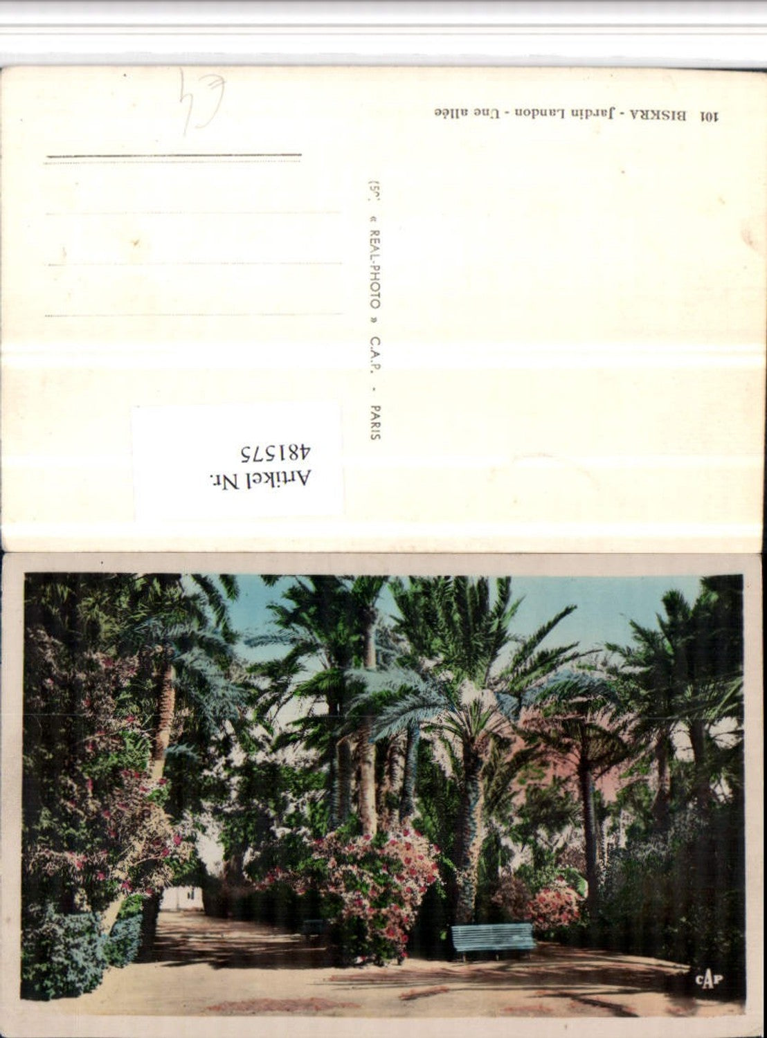 481575,Algeria Biskra Jardin Landon Garten Palmen