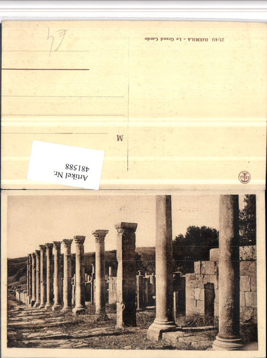 481588,Algeria Djemila Le Grand Cardo Säulen