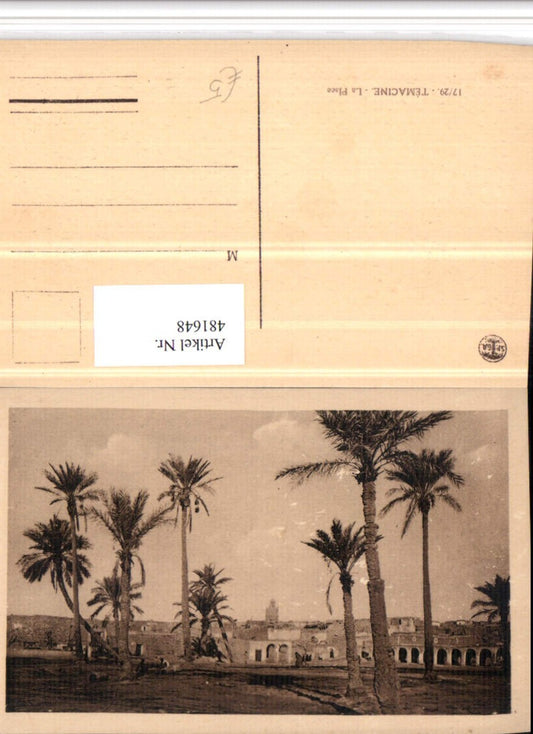 481648,Algeria Temacine La Place Palmen