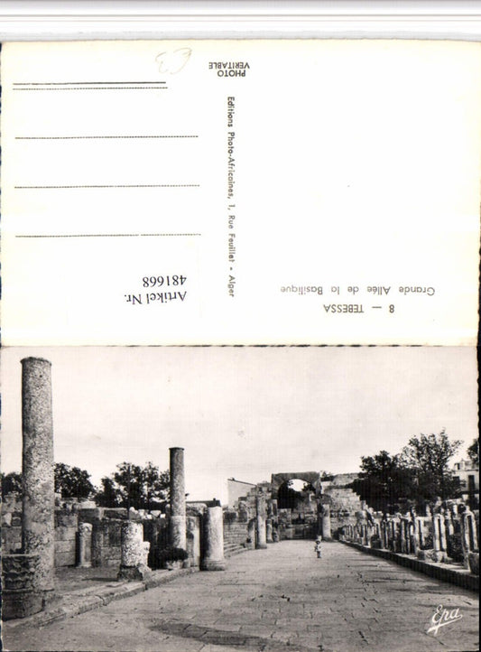 481668,Algeria Tebessa Grande Allee de la Basilique Säulen