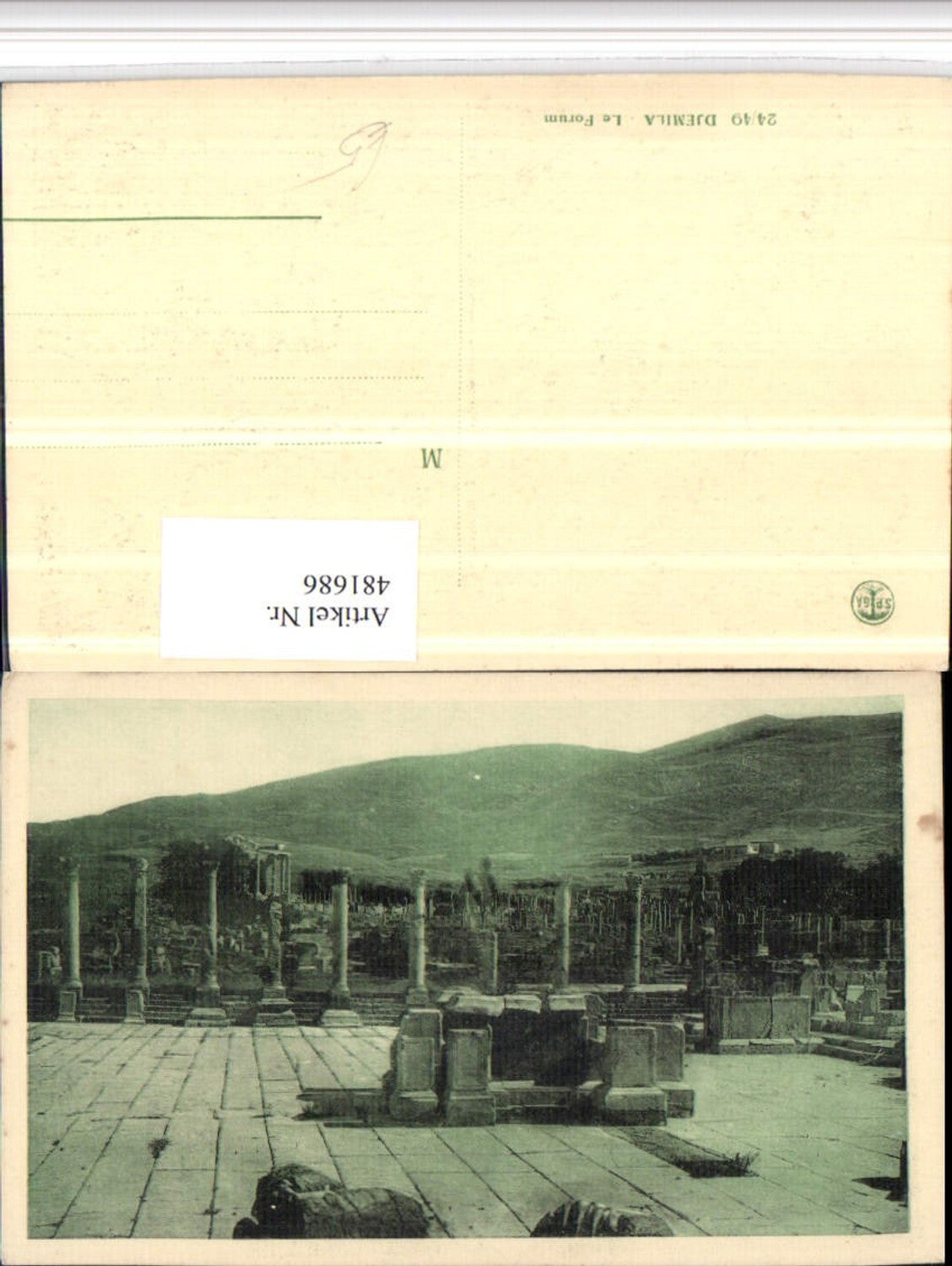 481686,Algeria Djemila Le Forum Säulen