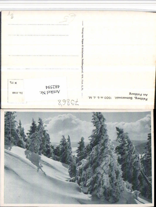 482594, Feldberg in the Black Forest, winter landscape, trees