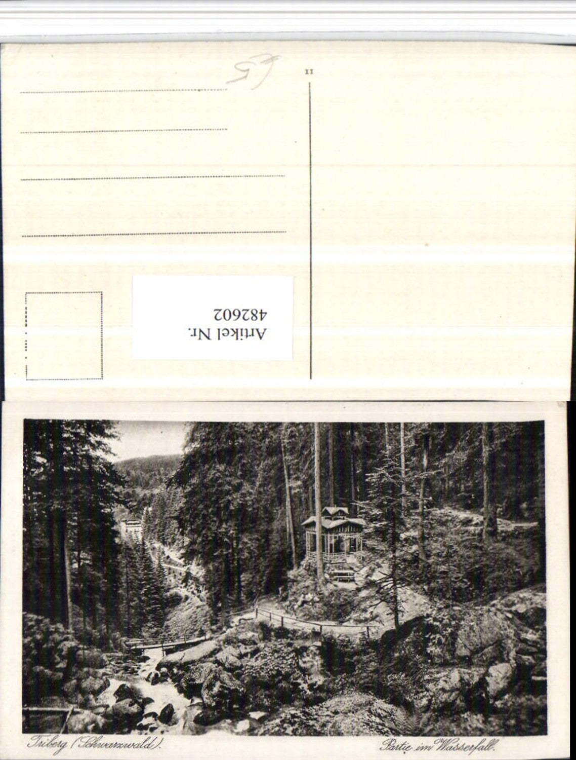 482602,Triberg im Schwarzwald Partie im Wasserfall