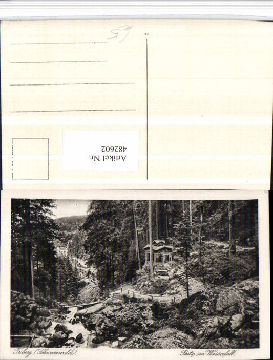 482602,Triberg im Schwarzwald Partie im Wasserfall