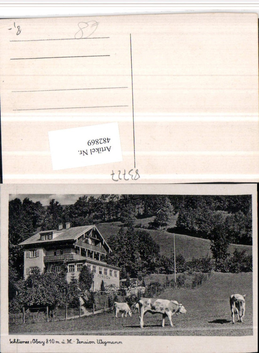 482869,Schliersee Pension Wegmann Rinder Kühe