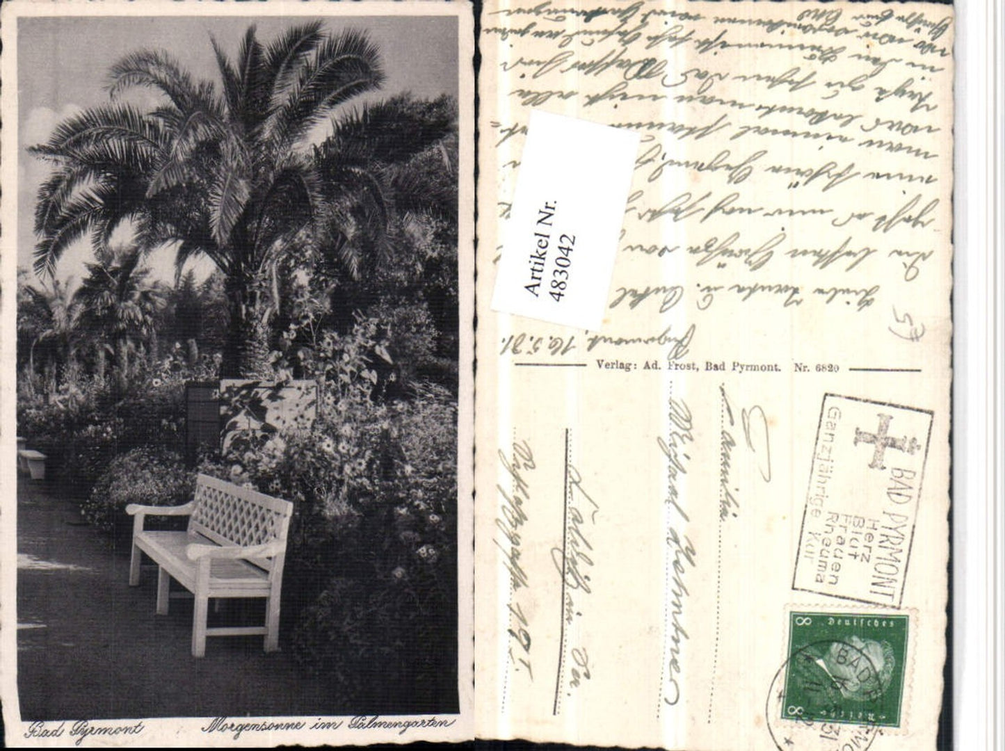 483042,Bad Pyrmont Palmengarten Morgensonne Palmen