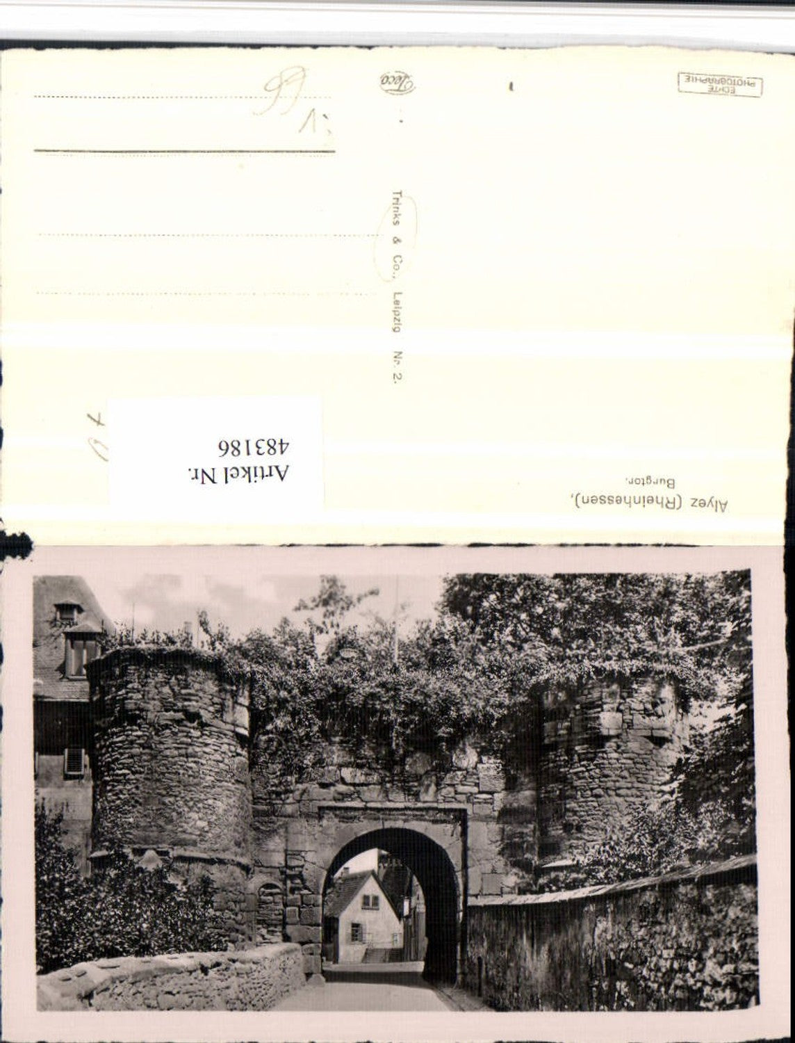 483186,Alyez Alzey Burgtor Tor pub Trinks & Co