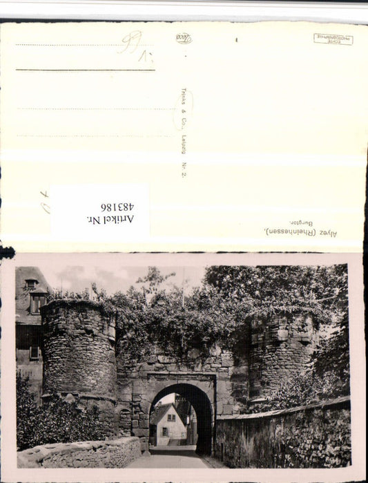 483186,Alyez Alzey Burgtor Tor pub Trinks & Co