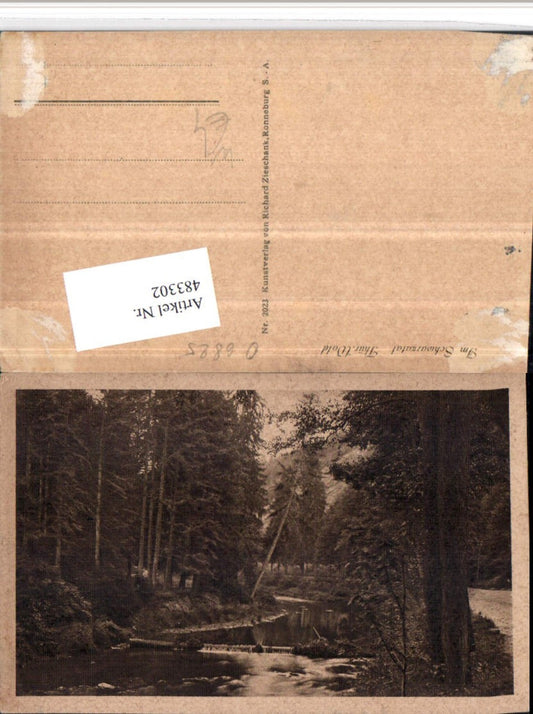 483302, Schwarzatal in the Thuringian Forest near Schwarzburg, section