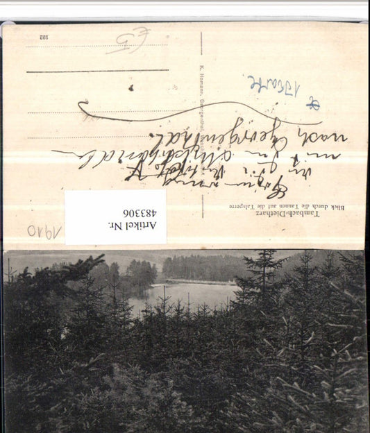 483306,Tambach-Dietharz Blick durch die Tannen auf die Talsperre