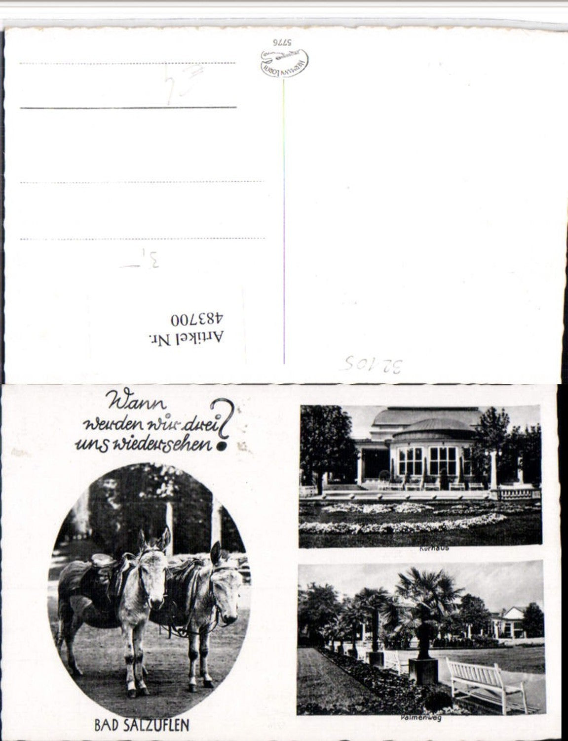 483700,Bad Salzuflen Kurhaus Palmenweg Esel Mehrbildkarte