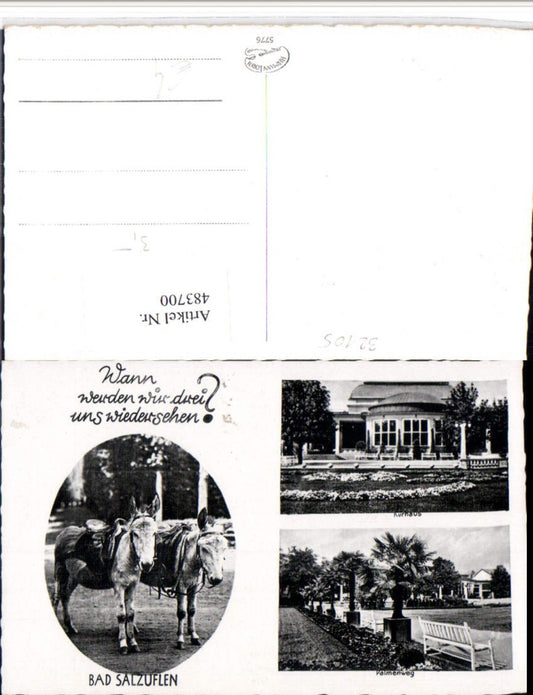 483700,Bad Salzuflen Kurhaus Palmenweg Esel Mehrbildkarte