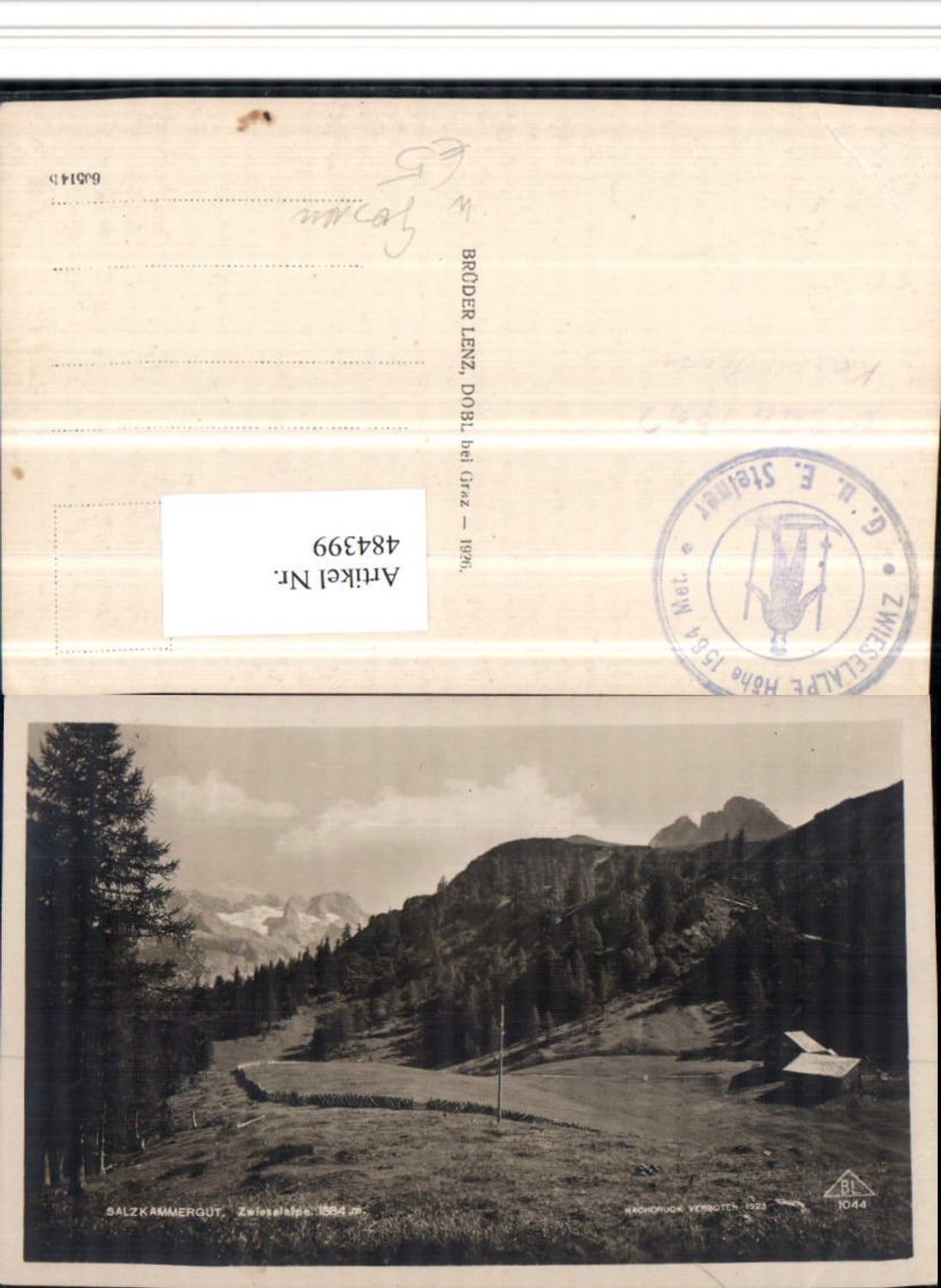 484399,Zwieselalpe Alm b. Gosau Bergkulisse