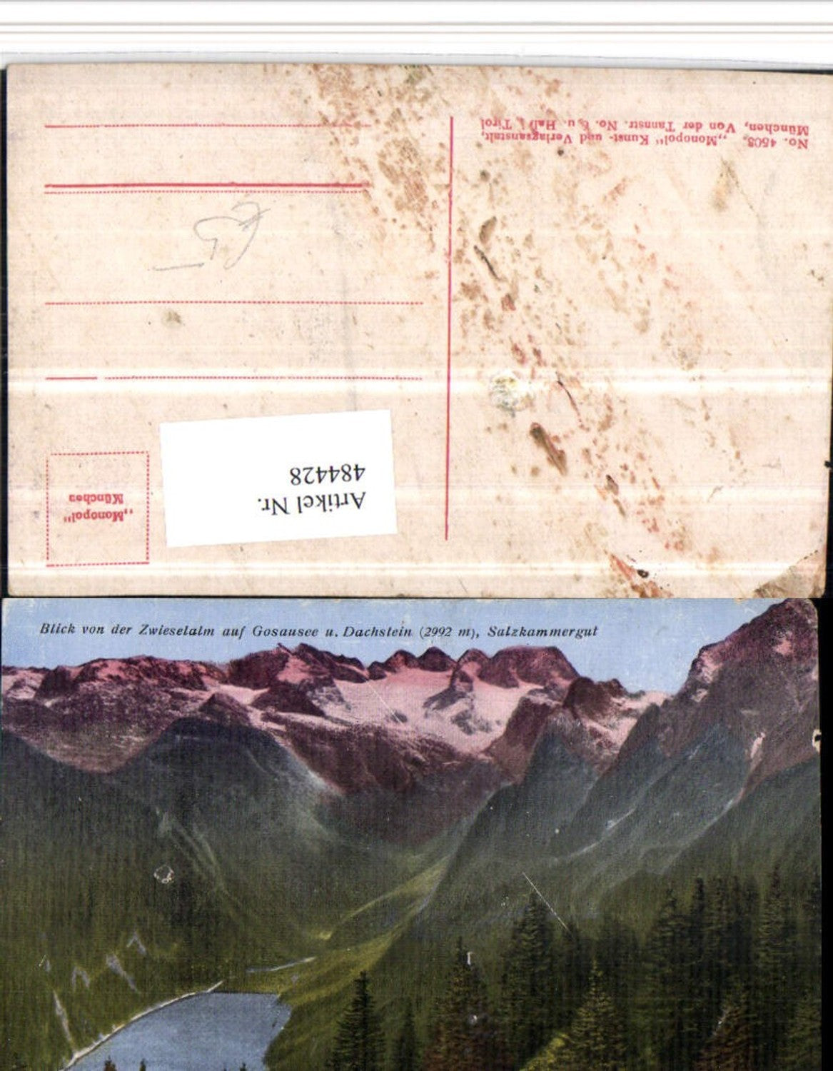 484428,Blick von d. Zwieselalm Gosausee See b. Gosau m. Dachstein Bergkulisse