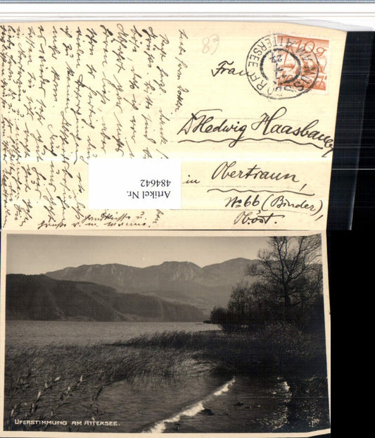 484642,Uferstimmung am Attersee See Bergkulisse