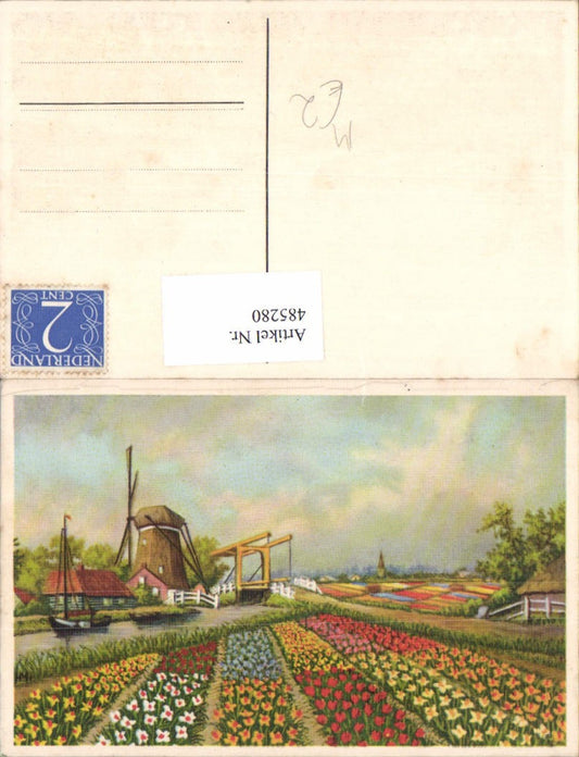 485280,Künstler Ak Windmühle Segelboot Blumen Narzissen Tulpen