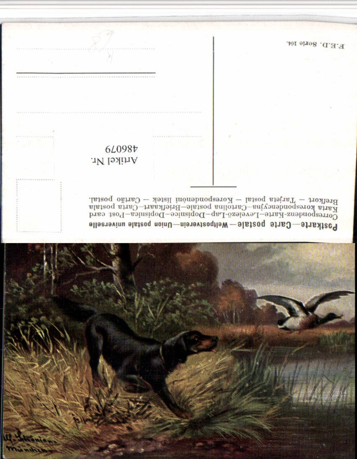 486079,Künstler AK Alfred Schönian Jagdhund Hund Tier Ente