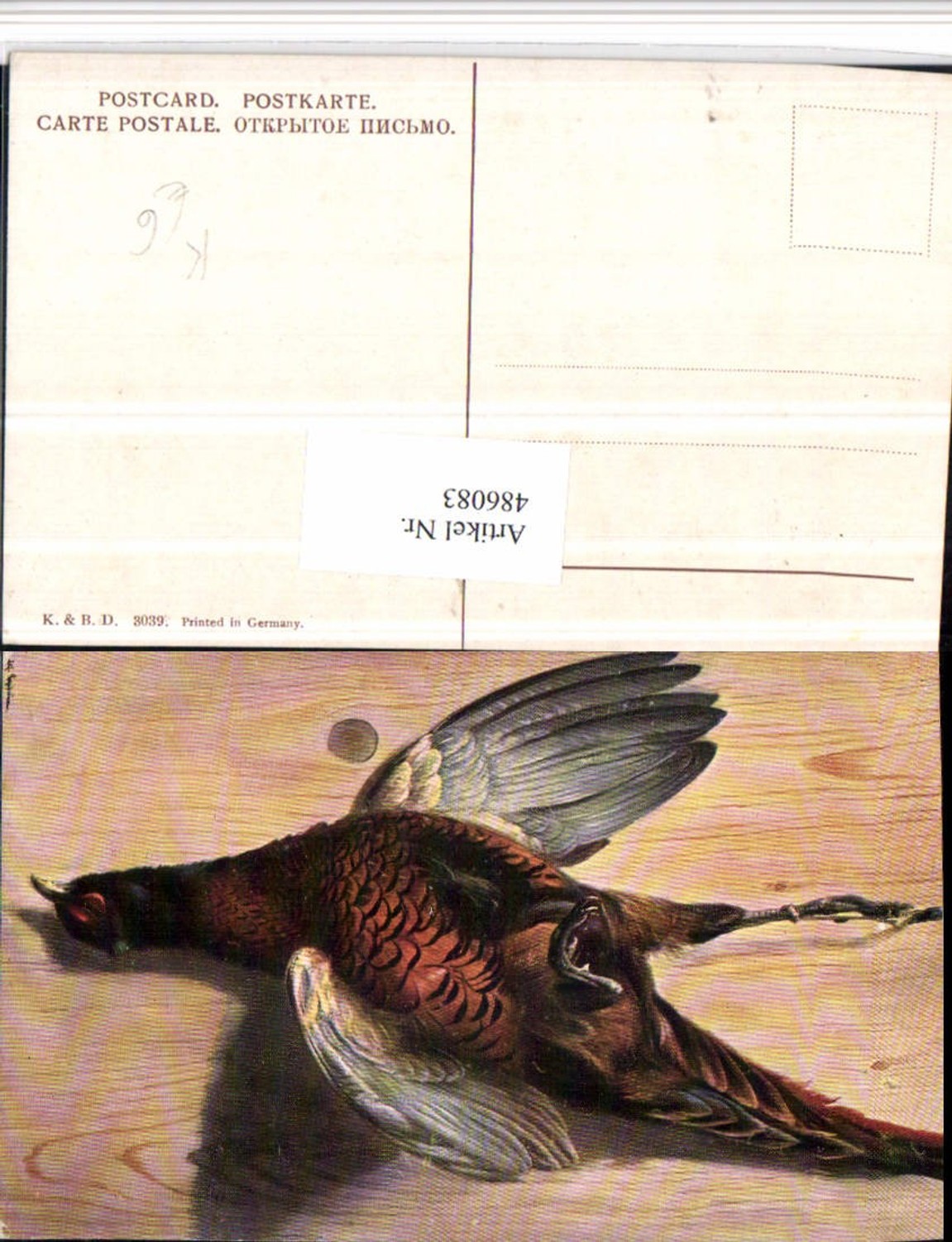 486083,Künstler AK Alfred Schönian Toter Fasan Vogel Tier