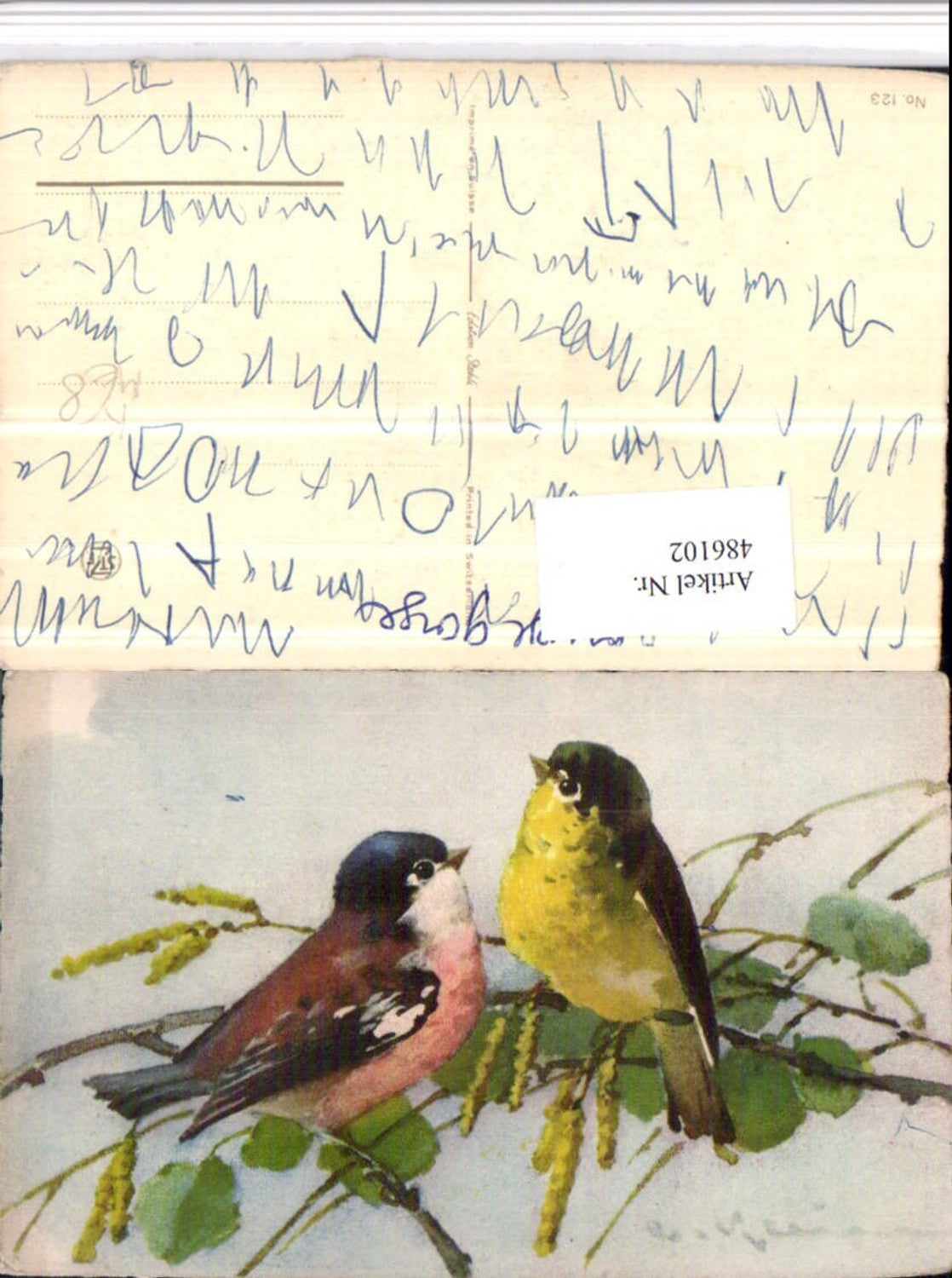 486102,Künstler AK Catharina Klein Vögel Buchfink Finken