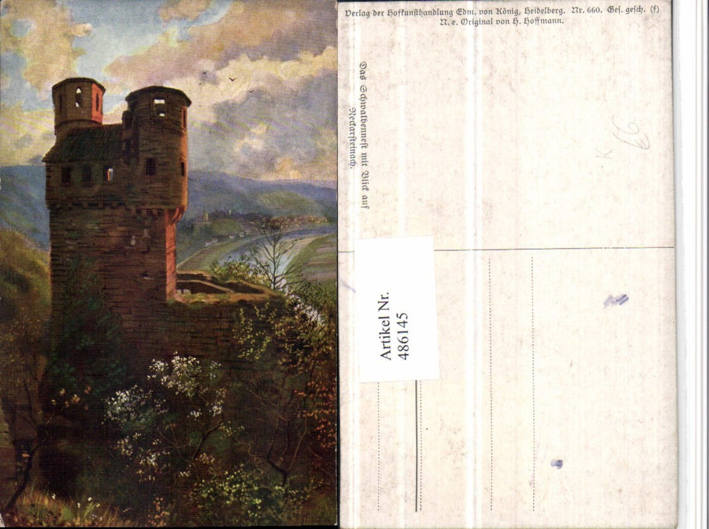 486145,Künstler AK Heinrich Hoffmann Schwalbennest m. Neckarsteinach