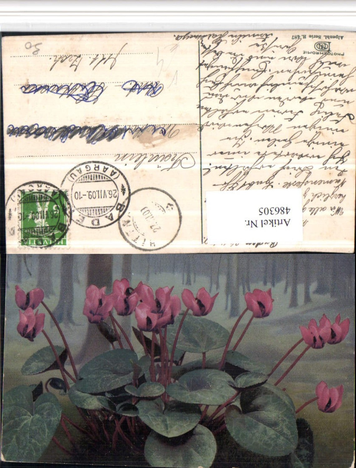 486305,Photochromie Nenke & Ostermaier H/487 Alpenveilchen Blumen