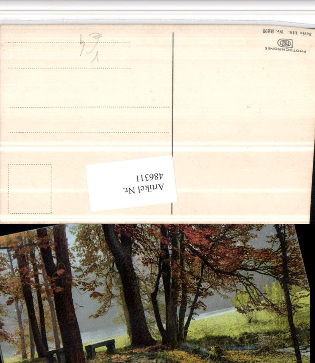 486311,Photochromie Nenke & Ostermaier 110/2295 Landschaft Bäume