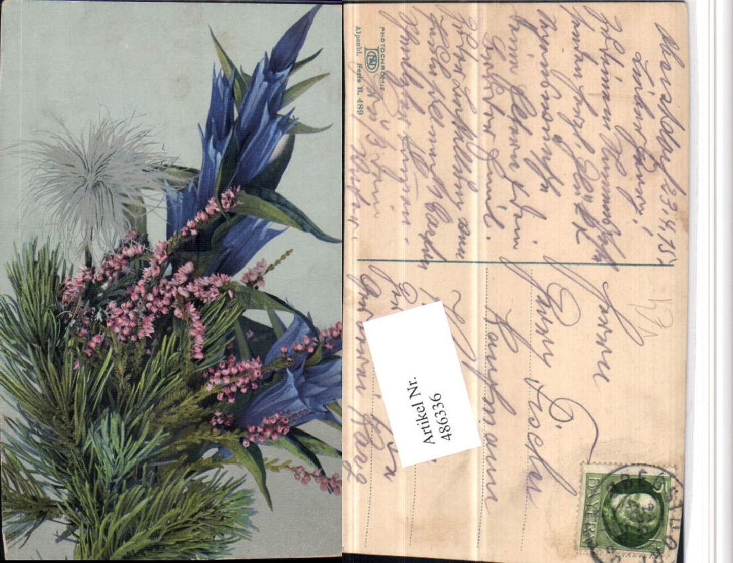 486336,Photochromie Nenke & Ostermaier H/489 Alpenblumen Enzian