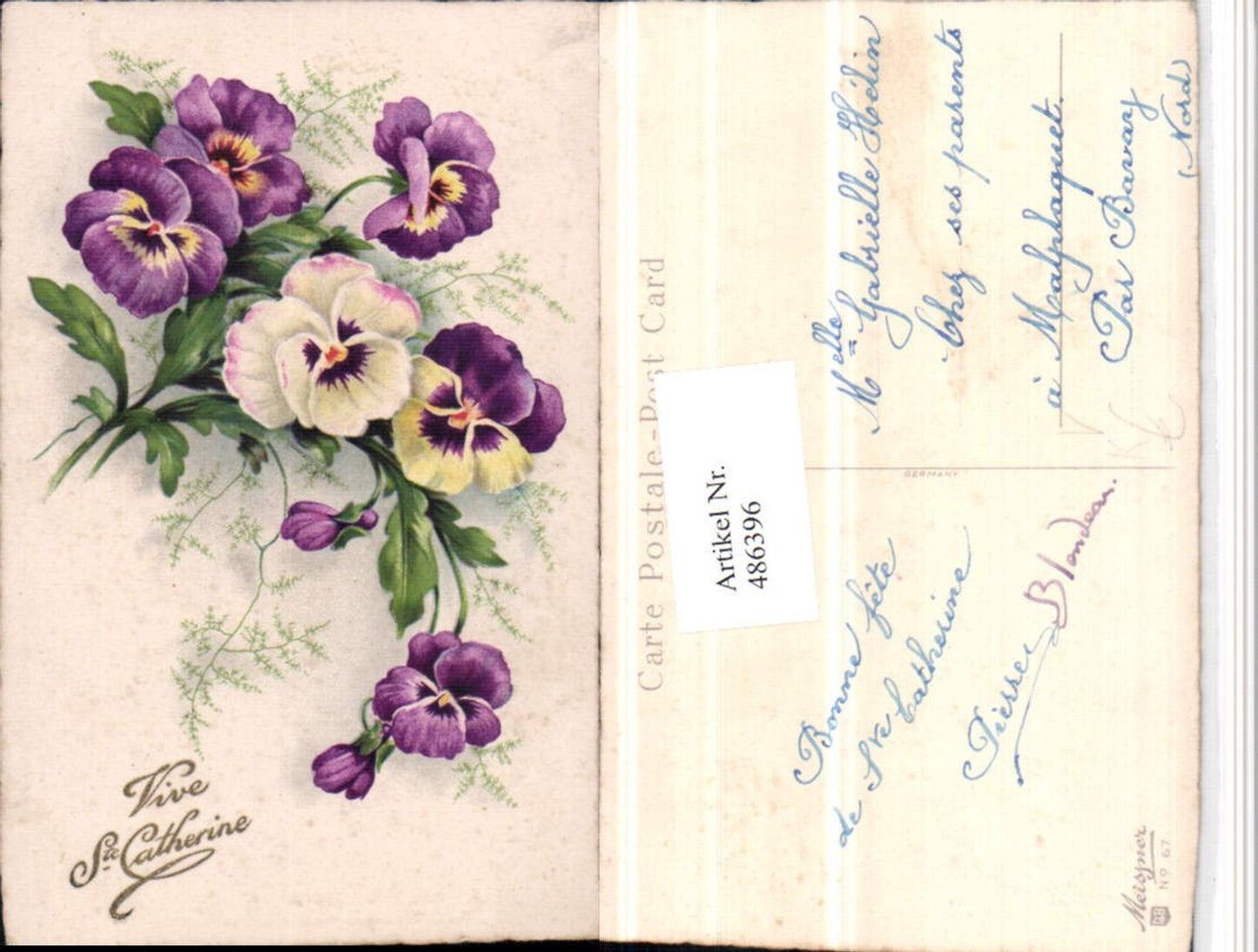 486396,Meissner & Buch 67 Künstlerkarte Blumen Stiefmütterchen