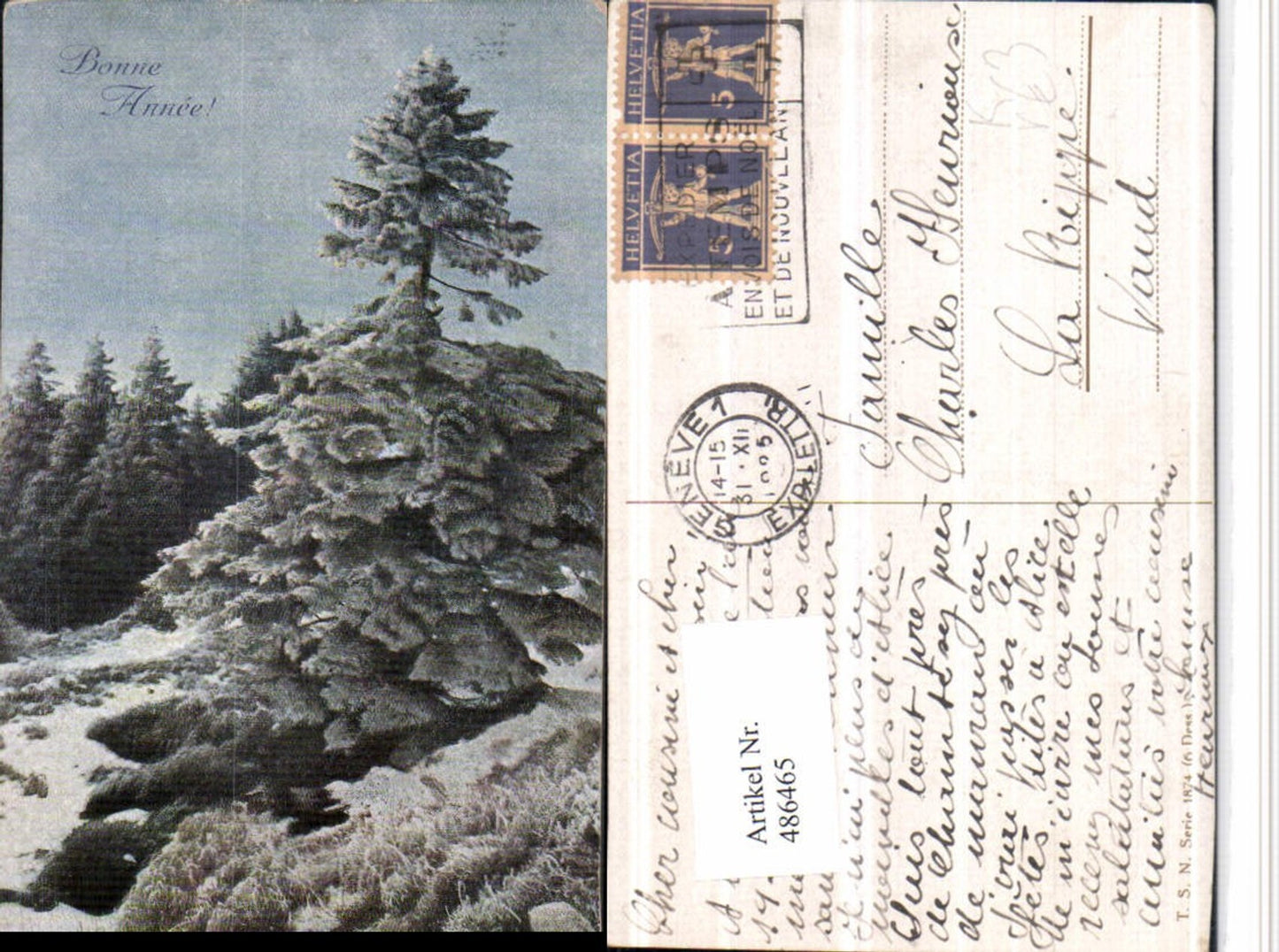 486465,Theo Stroefer 1874 Künstlerkarte Winterwald Bäume