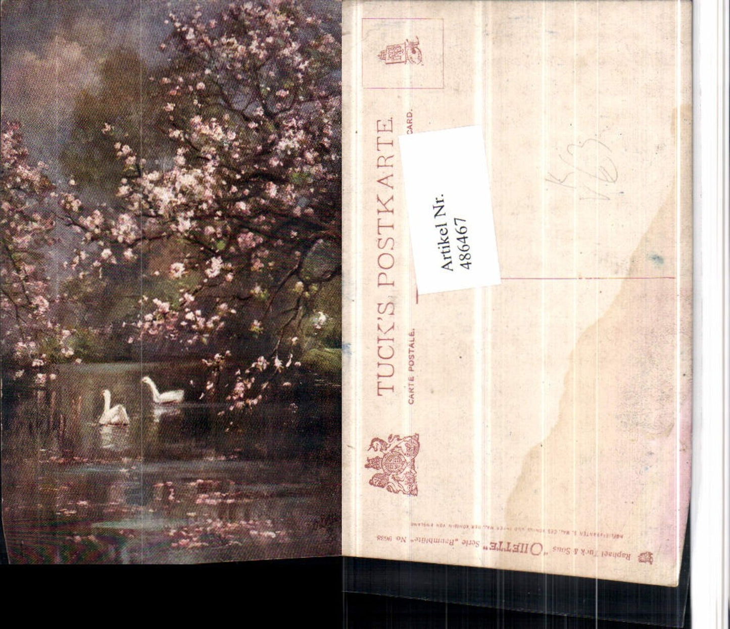 486467,Raphael Tuck & Sons 9638 Künstlerkarte Baumblüte Schwäne
