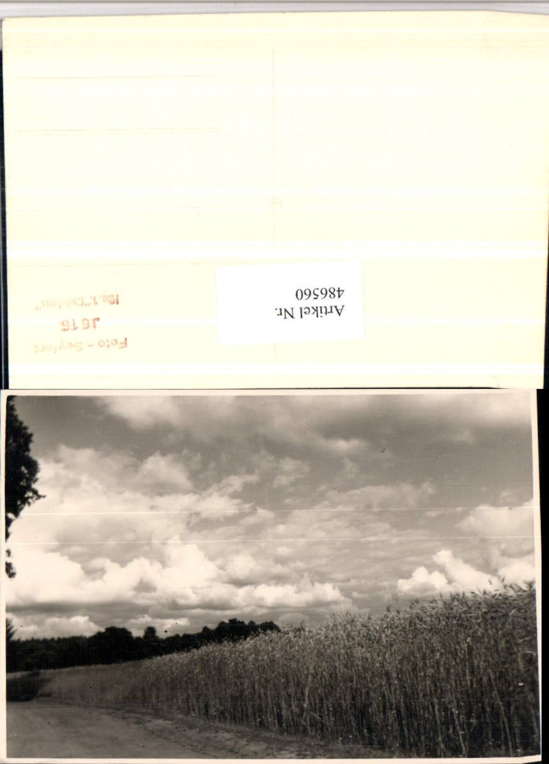 486560,Fotokunst Foto Seyfert J616 Feld Partie