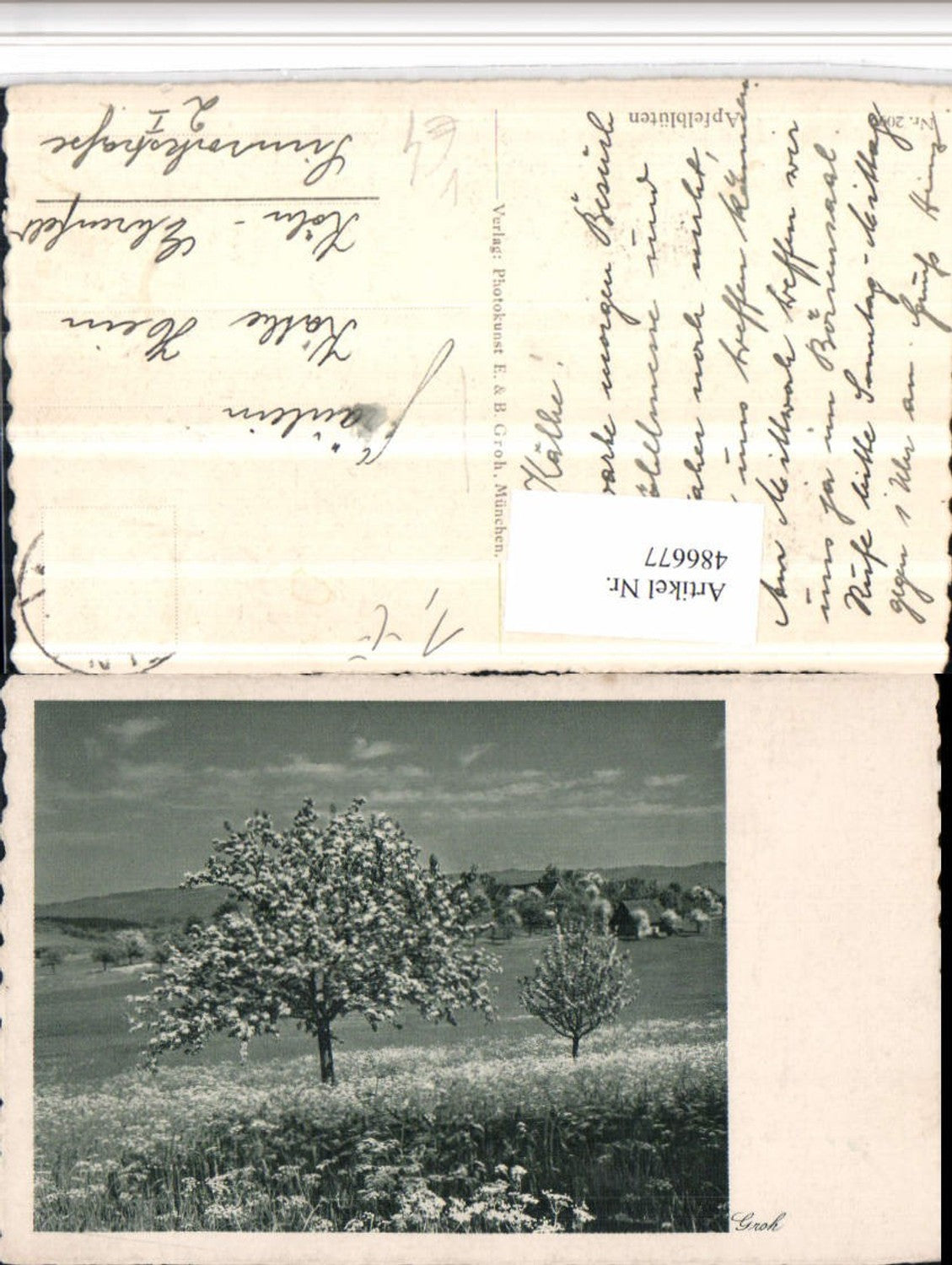 486677,Fotokunst Groh 2099 Apfelblüten Landschaft