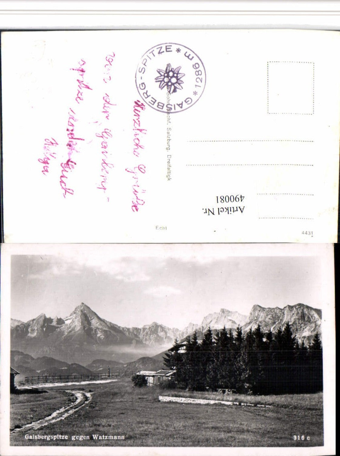 490081,Salzburg Gaisbergspitze geg. Watzmann Bergkulisse