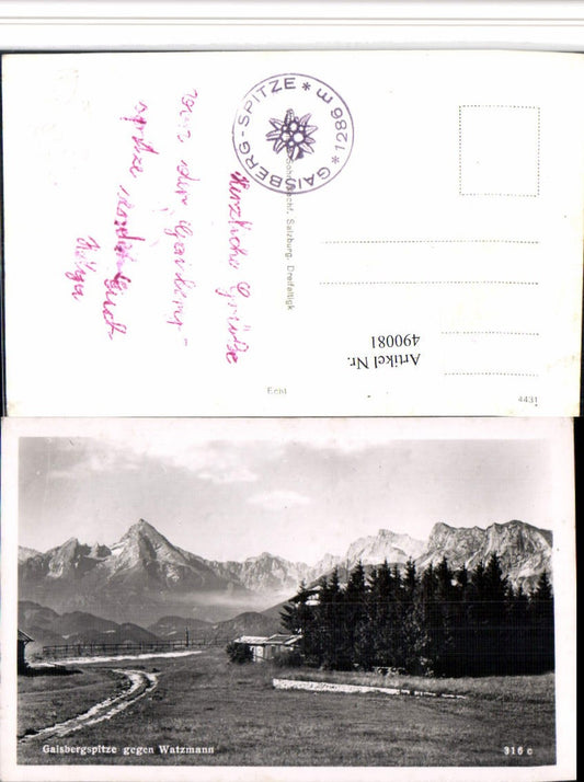 490081,Salzburg Gaisbergspitze geg. Watzmann Bergkulisse
