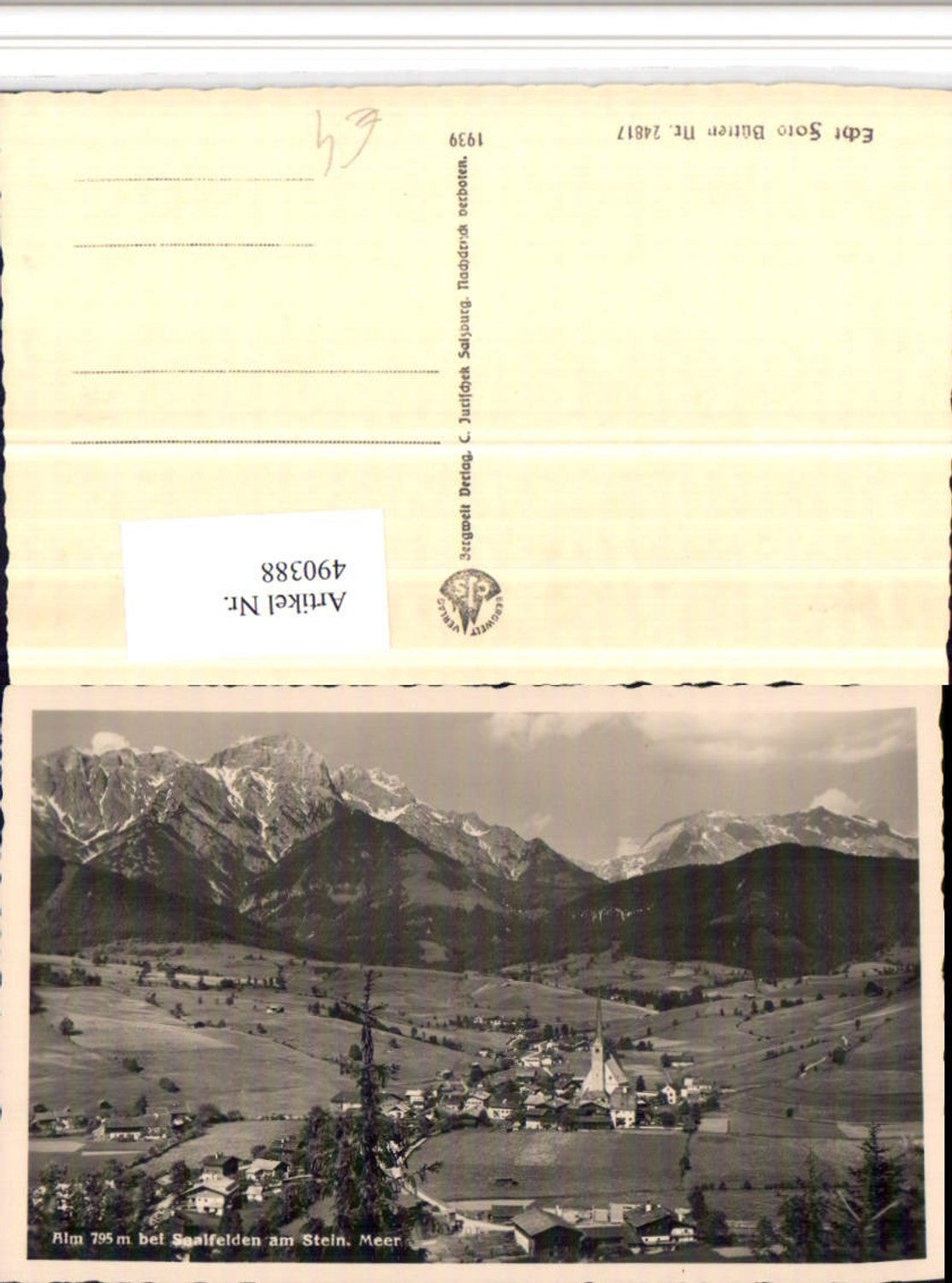 490388,Alm b. Saalfelden am Steinernen Meer Totale Bergkulisse