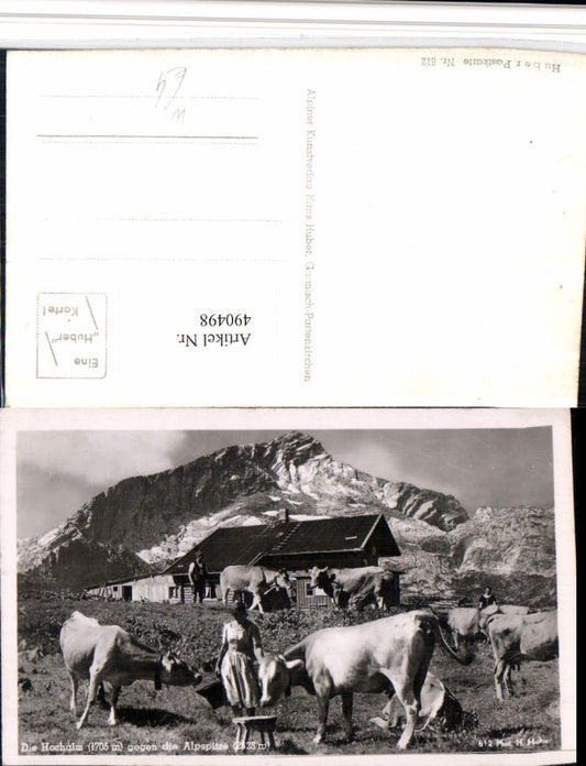 490498,Hochalm b. Grainau Almhütte Rinder geg. Alpspitze Bergkulisse