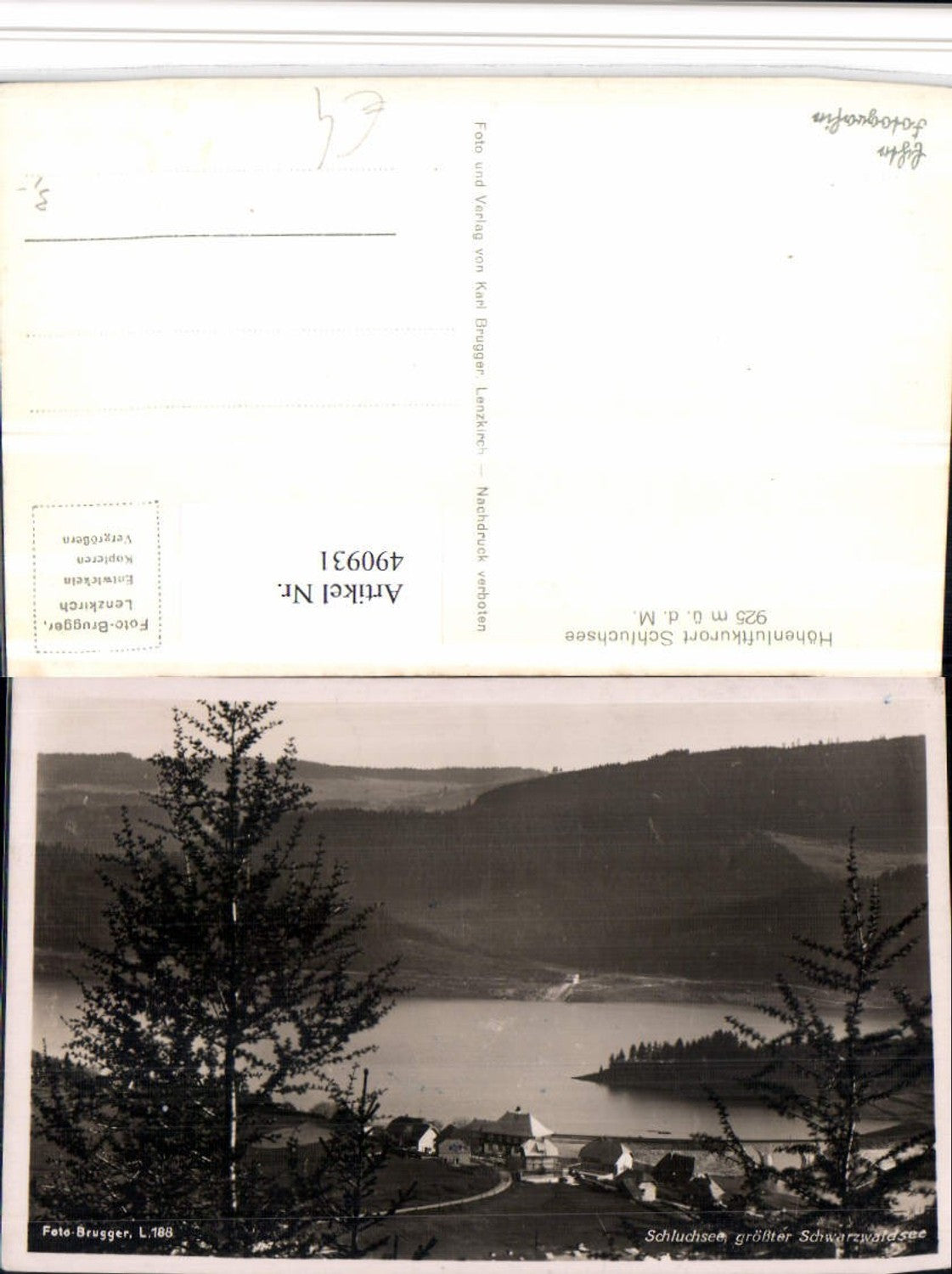 490931,Schluchsee Teilansicht See